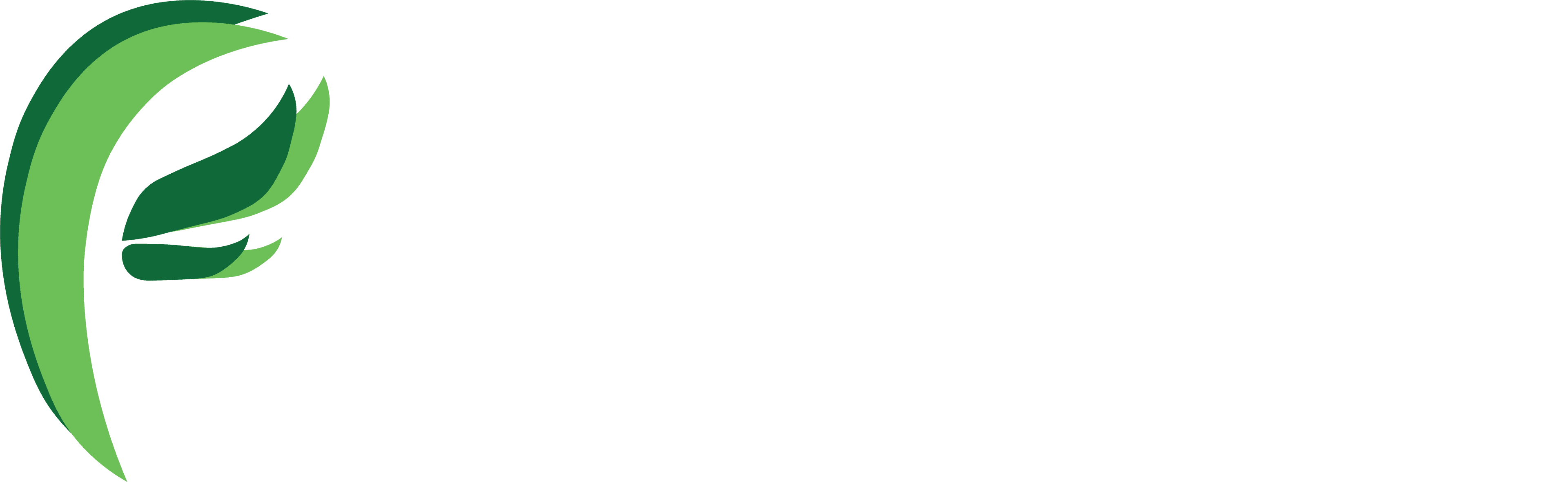 PT Pendi Hijau Berkah